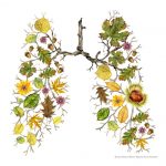 automne poumons
