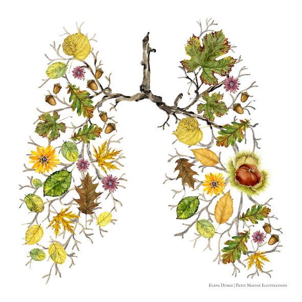 automne poumons